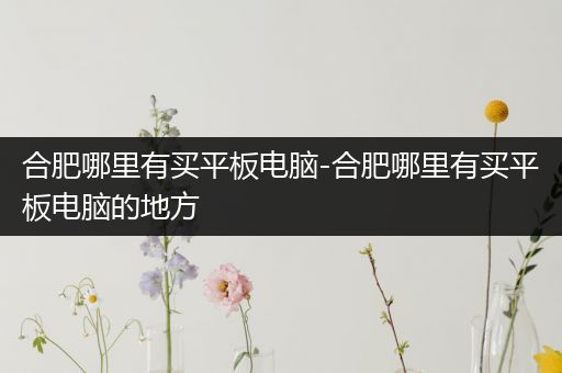 合肥哪里有买平板电脑-合肥哪里有买平板电脑的地方