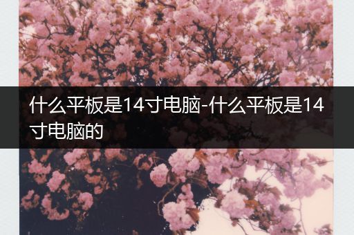 什么平板是14寸电脑-什么平板是14寸电脑的